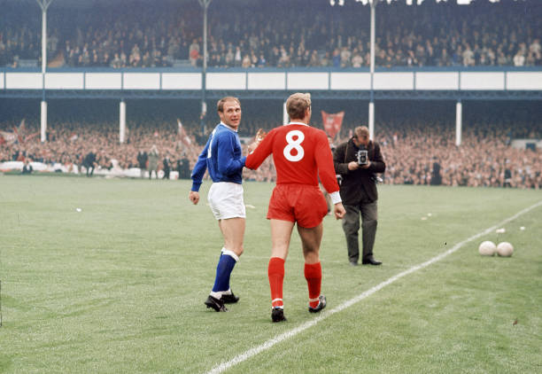 供了宝贵的 供了宝贵的